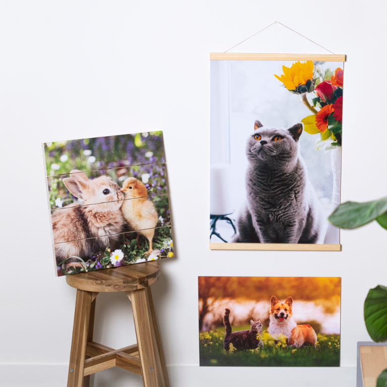 Canvas & Väggdekoration