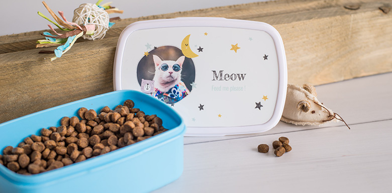 Cadeau pour chat
