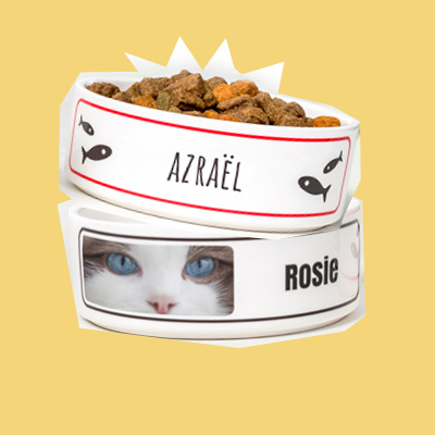 Cadeau pour chat