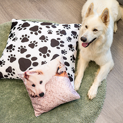 Cadeau Pour Chien Personnalise Smartphoto Cadeau Pour Chien Personnalise Smartphoto