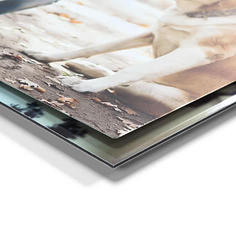 Tableau photo alu