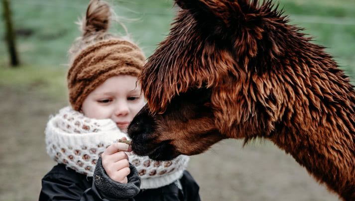 Wens 2: Collette ging op de foto met alpaca's