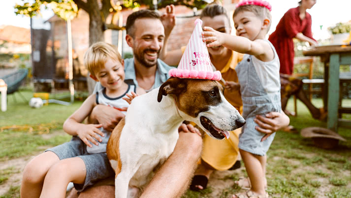Zeit für eine Party für Ihren pelzigen besten Freund