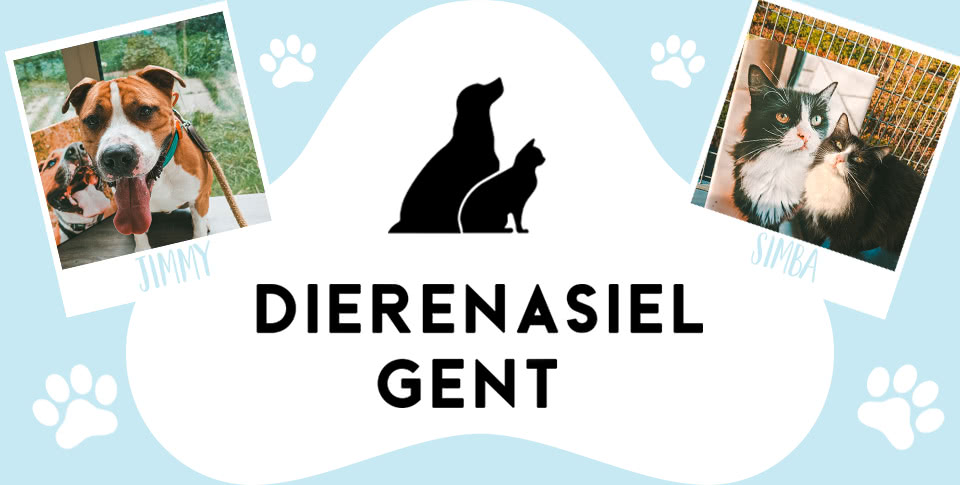 Topbanner dierenasiel gent mobile