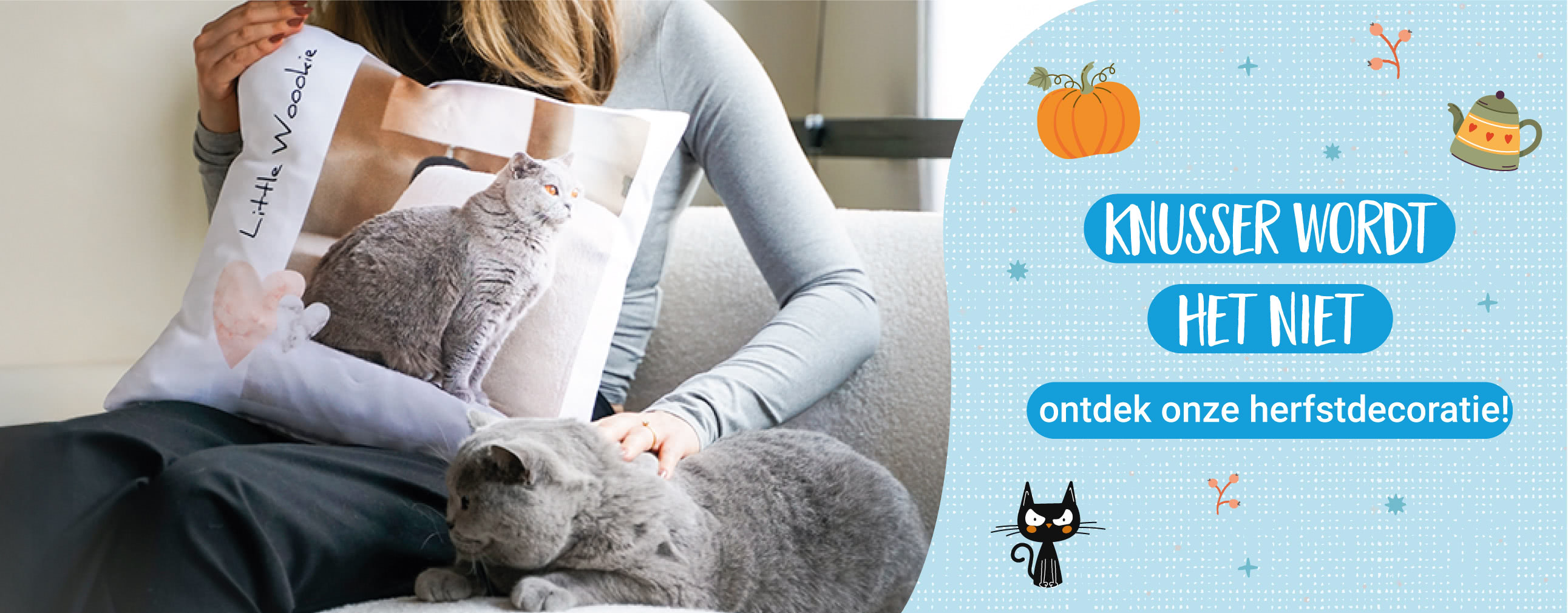 Knusser wordt het niet, ontdek onze herfstdecoratie- smartphoto