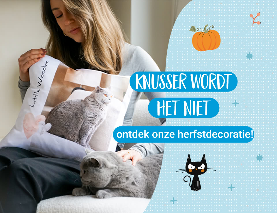 Knusser wordt het niet, ontdek onze herfstdecoratie- smartphoto