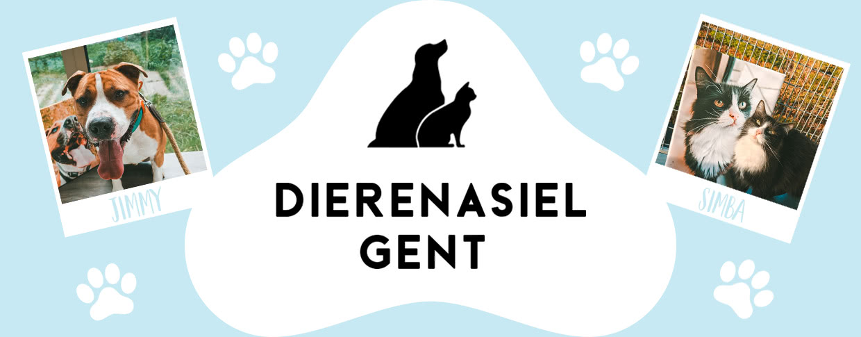 Dierenasiel Gent